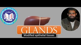 GlandsModified Epithelial tissues  Histology  by Imran Yaseen [upl. by Salohci]