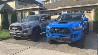 Side by Side Look at my Cement Gray and Voodoo Blue Tacoma TRD Pros [upl. by Anaerda445]