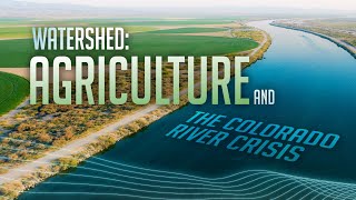 Watershed Agriculture and The Colorado River Crisis [upl. by Ulani]