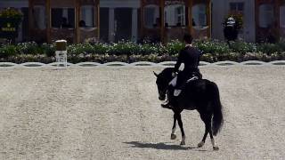 CHIO Aachen 2010  CHIO tour Grand Prix Totilas  Gal [upl. by Gradey]