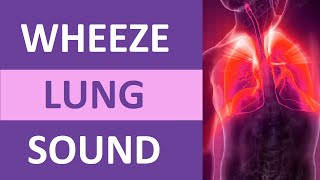 Wheezing Lung Sound Audio High Pitch  Nursing Adventitious Lung Sounds NCLEX Review [upl. by Akiemat]