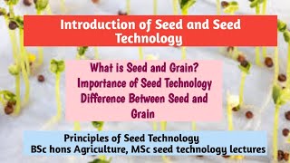 Seed and Seed Technology Introduction and importance what is seed and grain [upl. by Nerrag]