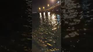 Grunion run in San Diego Coronado Island [upl. by Sykes]