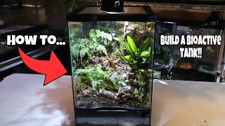 How to Build a BIOACTIVE Tank Tutorial [upl. by Aitel]