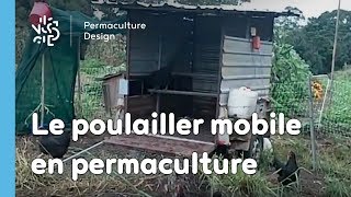 Permaculture  les avantages du poulailler mobile [upl. by Reiss]