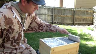 Powdered sugar mite treatment for my new bees [upl. by Virgel]