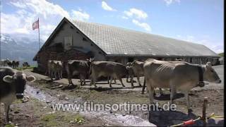 Dokumentation ANDEER IST ANDERS  BIOKÄSE AUS GRAUBÜNDEN DVD  Vorschau [upl. by Hamforrd]