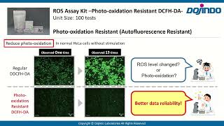 ROS Assay Kit Photooxidation Resistant DCFHDA Dojindo Laboratories [upl. by Phia]