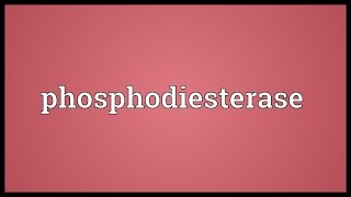 Phosphodiesterase Meaning [upl. by Florette]