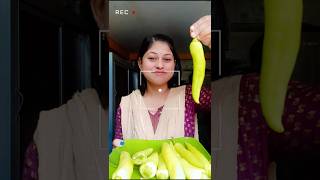 vada mirchi food nooniongarlic cooking youtubeshorts recipe cookingfood [upl. by Aivart412]