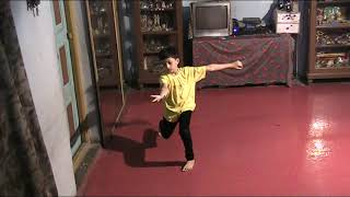 TROY BOI  SOLO DANCE  OFFICIAL BY VISHWADEEP MITRA [upl. by Llerrod43]