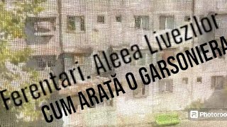 Aleea Livezilor Cartierul Ferentari Cum arată și cât costă o garsonieră in ghetouri [upl. by Bunns]