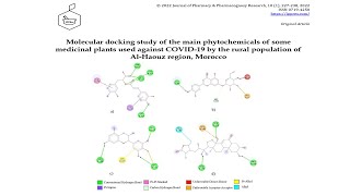 Molecular Docking principeمقدمة ومدخل لتقنية [upl. by Box]