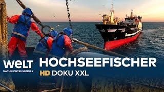 Deutschlands größter Hochseetrawler auf Fangfahrt  HD Doku XXL [upl. by Ahsiner]