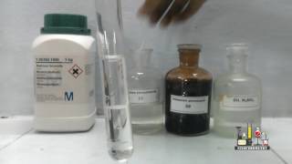 Layer Test for Bromide using Sodium Bromide [upl. by Mosenthal]