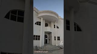 طيران طير مكاو داخل البيت 🏠 [upl. by Winthorpe]