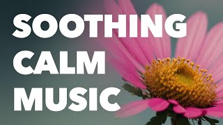 🌿 Relaxing Aesthetic Piano Music with Nature Sounds  No Copyright Music for YouTube Videos [upl. by Tufts312]