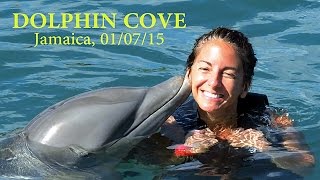 Dolphin Cove Jamaica January 2015 [upl. by Richards]