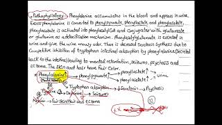 Tyrosine metabolism [upl. by Adnohsel]