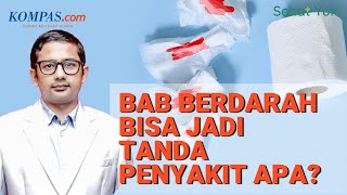 Jangan Panik Begini Cara Bedakan BAB Berdarah yang Berbahaya  Tanya Pakar 13 [upl. by Ahsenhoj]