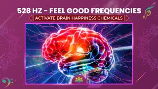 Feel Good Frequencies 528 Hz  Activate Brain Happiness Chemicals  Reduce Stress amp Anxiety [upl. by Idolem329]