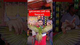 খুব চমৎকার একটি পাখি মিরপুর হাটে  পাখি  Pakhi  Tiya Pakhi  টিয়া পাখি  Pakhir Hat birds shorts [upl. by Anavoj]