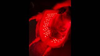 Red Light Therapy for Pets and Horses Pain Relief Allergies IVDD amp Paralysis Injury amp Illness [upl. by Lirbaj556]