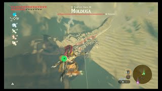 Molduga Locations Including Molduking  BOTW  Picture Frames Games [upl. by Rma]