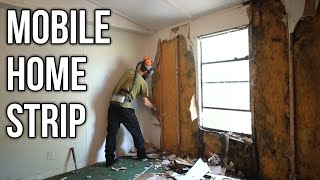 Gutting it Down to the Studs  1984 Mobile Home Rot and Mold Found [upl. by Kraska]