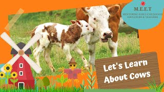 Lets Learn About Cows preschool learning videos for kids  cow video for kids  cow sounds [upl. by Eeryn]