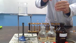 Demonstration of Tollens Reagent [upl. by Aliac]