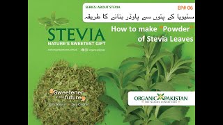 EP06 How to make Stevia Powder سٹیویا کے پتوں سے پاوڈر بنانے کا طریقہ [upl. by Sarazen]