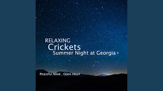 Crickets Chirping Night Sounds for Sleeping [upl. by Hoeve]