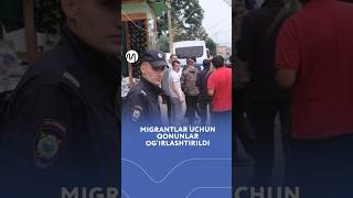 Migrantlar uchun qonunlar ogirlashtirildi [upl. by Lennad]