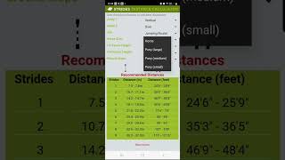 Strides Distance Calculator demonstration [upl. by Notloc]