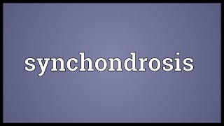 Synchondrosis Meaning [upl. by Nirag666]