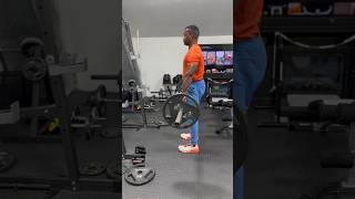 Romanian Deadlift Workout  Glutes and Hamstring [upl. by Ynohtnaed]