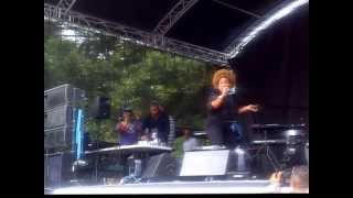 Denise Belfon  Wining Queen Project 5 Riddim Soca 2013 live ipswich carnival [upl. by Seaden]