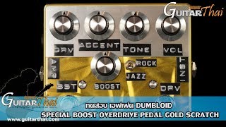 Dumbloid Special Boost Overdrive Pedal Gold Scratch [upl. by Sioled]