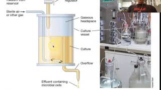 BIO3015 Episode 010 Continuous culture [upl. by Tohcnarf]