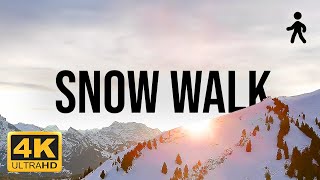 Calm Winter Walk in Switzerland 🇨🇭 snowy alpine panorama – POV Hike with peaceful music to study 📚 [upl. by Oniger520]