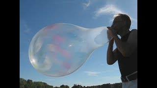 balloon blow to pop – Qualatex 18quot Spray Helix [upl. by Ulysses]