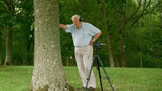 What’s in the Trunk with Sir David Attenborough  The Green Planet  BBC Earth [upl. by Nomor949]