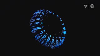 Bioluminescence in the deep sea How and why do animals create their own light [upl. by Nivart]