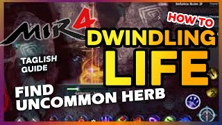 Mir4 Dwindling Life Find Uncommon Herbs Tagalog Tutorial [upl. by Scheck919]