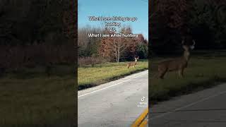 Why is it like this hunting deer deerhunting outdoors buck whitetail bowhunting rut [upl. by Eiuqcaj]