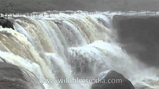 Cherrapunji  fog abounds around Dainthlen Falls [upl. by Yodlem78]