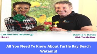 All You Need To Know About Turtle Bay Beach Watamu The Story Of General Manager Damian Davies [upl. by Ainolloppa]