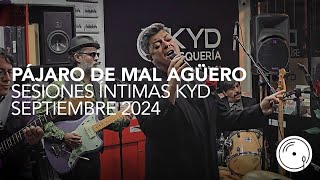 Pájaro de Mal Agüero en vivo en Sesiones Íntimas de Disquería KYD [upl. by Cyrus579]