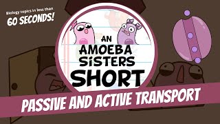 Passive and Active Transport  Amoeba Sisters Shorts [upl. by Lull482]